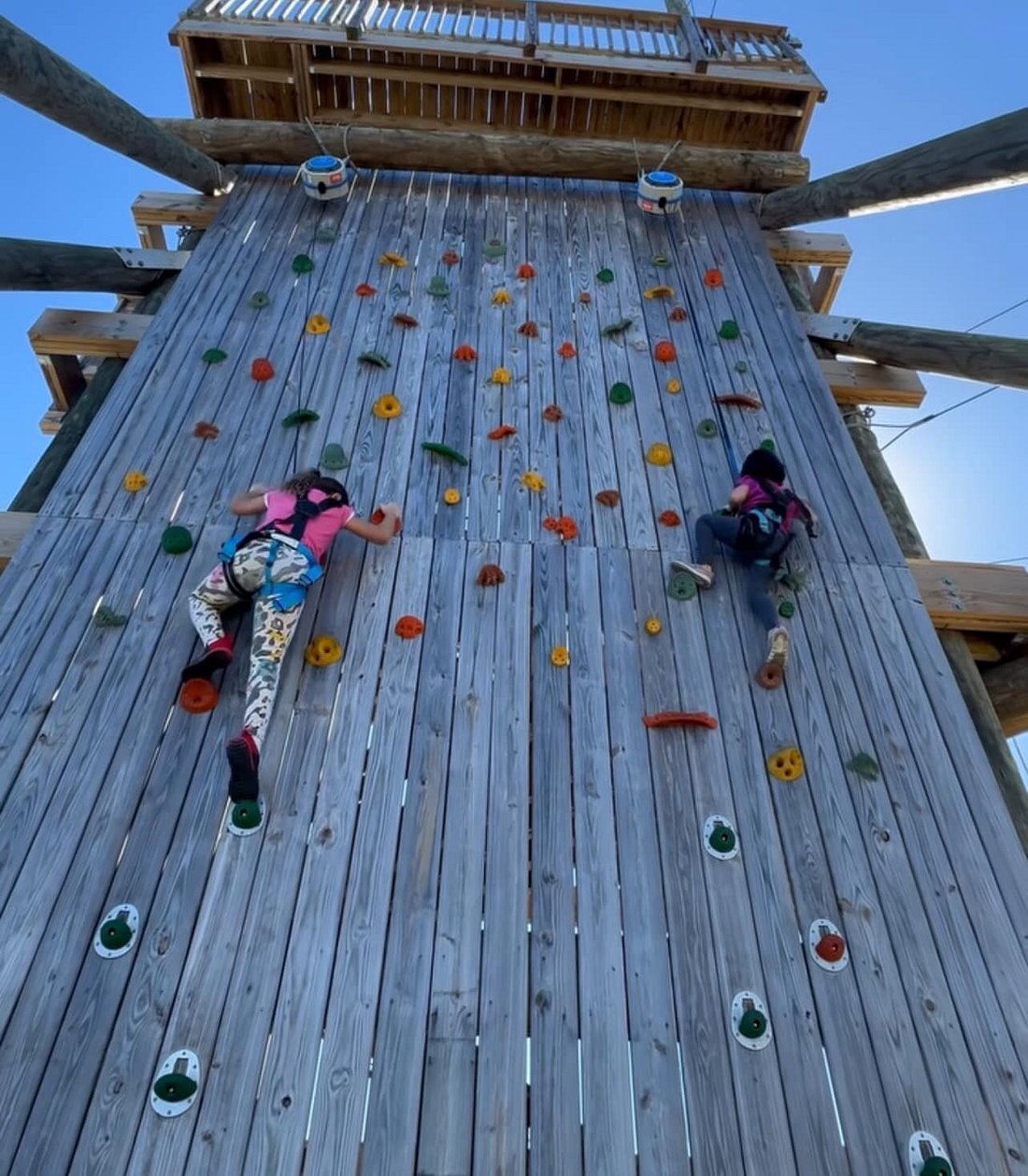 Best Things to Do in Cape Coral, Florida (According to Visitors) 